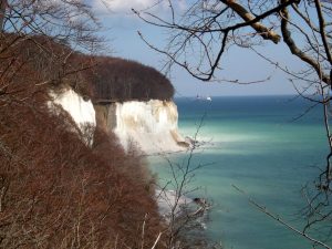 Kreideküste im Herbst